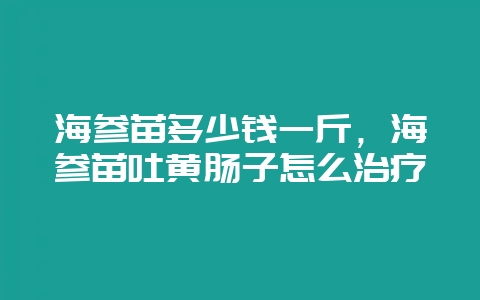 海参苗多少钱一斤，海参苗吐黄肠子怎么治疗-会东网