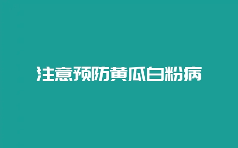 注意预防黄瓜白粉病-会东网