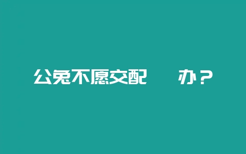 公兔不愿交配 咋办？-会东网