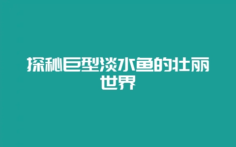 探秘巨型淡水鱼的壮丽世界-会东网