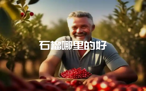 石榴哪里的好-会东网
