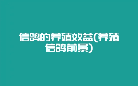信鸽的养殖效益(养殖信鸽前景)-会东网