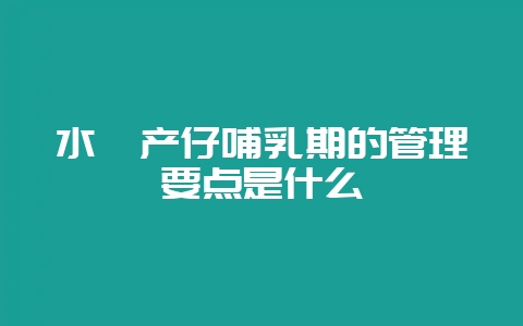 水貂产仔哺乳期的管理要点是什么-会东网