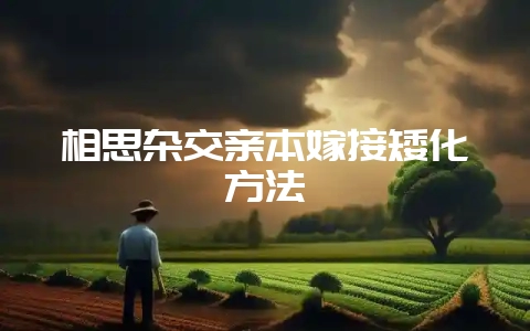 相思杂交亲本嫁接矮化方法-会东网