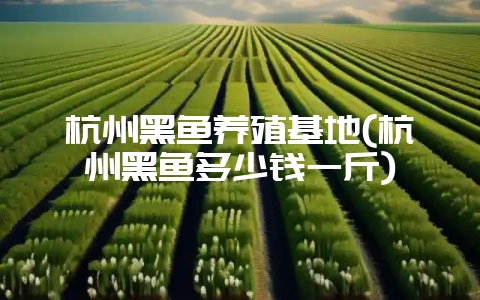 杭州黑鱼养殖基地(杭州黑鱼多少钱一斤)-会东网