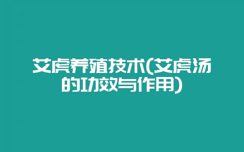 艾虎养殖技术(艾虎汤的功效与作用)-会东网