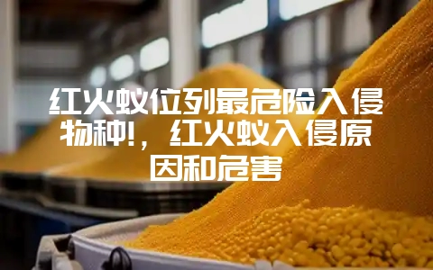 红火蚁位列最危险入侵物种!，红火蚁入侵原因和危害-会东网