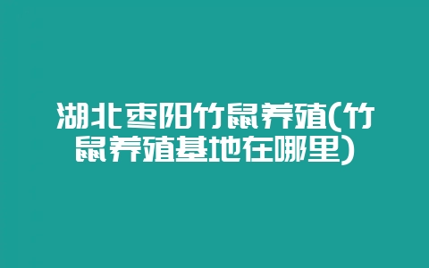 湖北枣阳竹鼠养殖(竹鼠养殖基地在哪里)-会东网