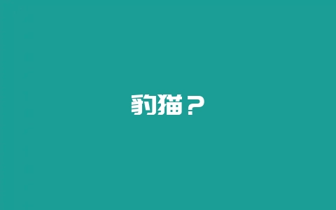 豹猫？-会东网