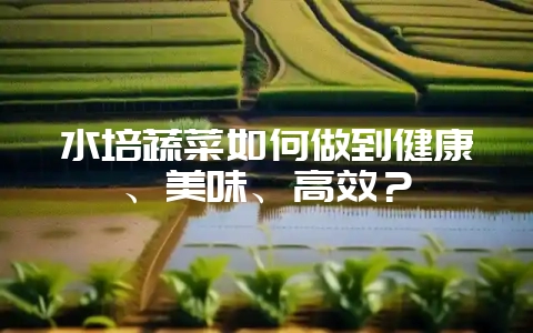 水培蔬菜如何做到健康、美味、高效？-会东网