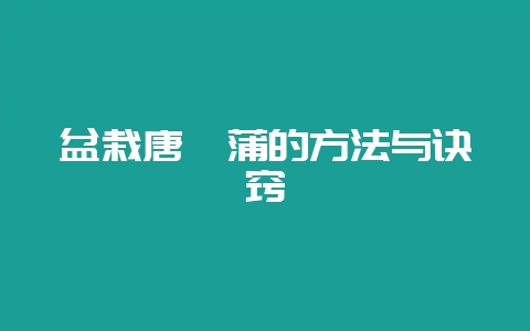 盆栽唐菖蒲的方法与诀窍-会东网