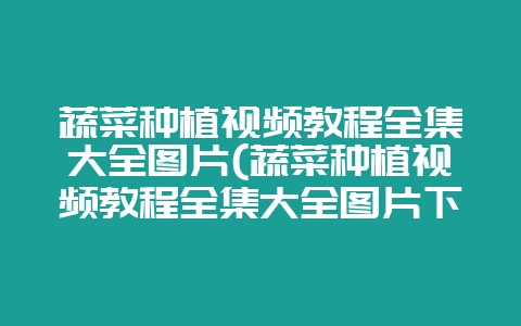 蔬菜种植视频教程全集大全图片(蔬菜种植视频教程全集大全图片下载)-会东网