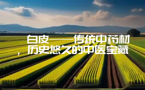 梓白皮——传统中药材，历史悠久的中医宝藏-会东网