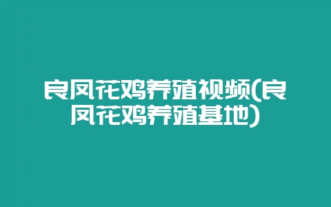 良凤花鸡养殖视频(良凤花鸡养殖基地)-会东网