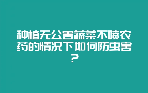 种植无公害蔬菜不喷农药的情况下如何防虫害？-会东网