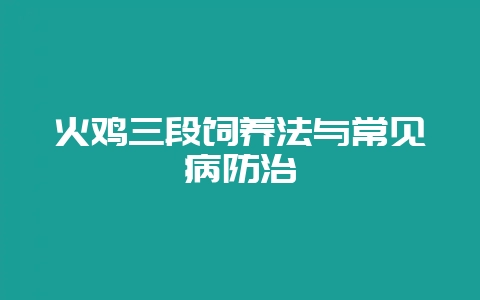 火鸡三段饲养法与常见病防治-会东网