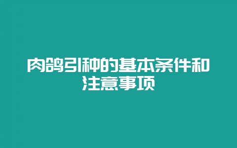肉鸽引种的基本条件和注意事项-会东网