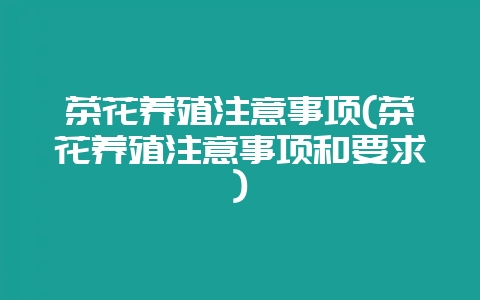 茶花养殖注意事项(茶花养殖注意事项和要求)-会东网