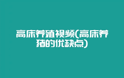 高床养殖视频(高床养猪的优缺点)-会东网