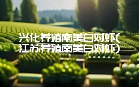 兴化养殖南美白对虾(江苏养殖南美白对虾)-会东网