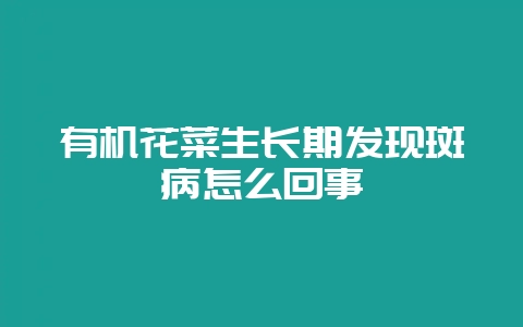 有机花菜生长期发现斑病怎么回事-会东网