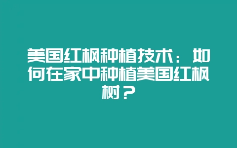 美国红枫种植技术:如何在家中种植美国红枫树?-会东网