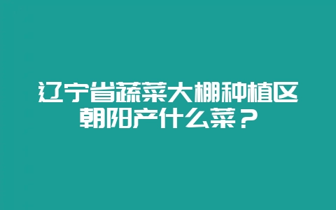 辽宁省蔬菜大棚种植区朝阳产什么菜?-会东网