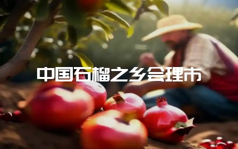 中国石榴之乡会理市插图 中国石榴之乡会理市插图