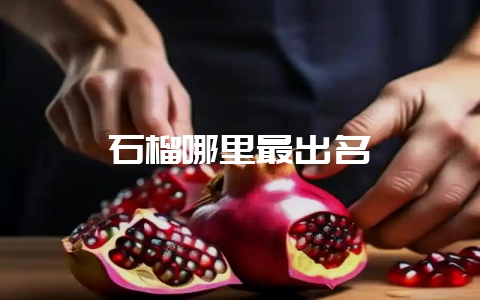 石榴哪里最出名-会东网