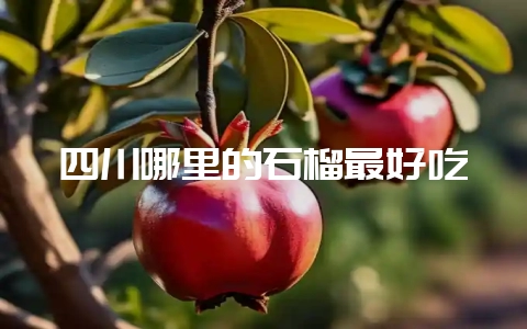 四川哪里的石榴最好吃-会东网