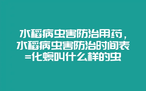 水稻病虫害防治用药，水稻病虫害防治时间表=化螟叫什么样的虫-会东网
