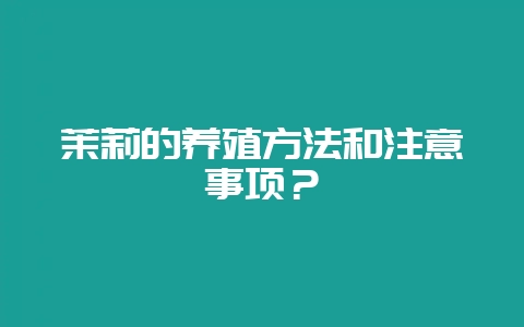 茉莉的养殖方法和注意事项？-会东网