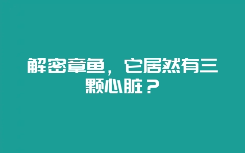 解密章鱼，它居然有三颗心脏？-会东网