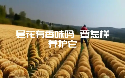 昙花有香味吗 要怎样养护它-会东网