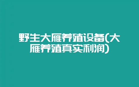 野生大雁养殖设备(大雁养殖真实利润)-会东网