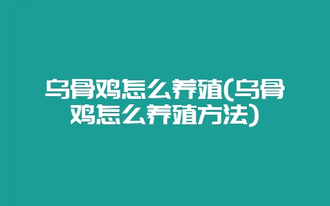 乌骨鸡怎么养殖(乌骨鸡怎么养殖方法)-会东网