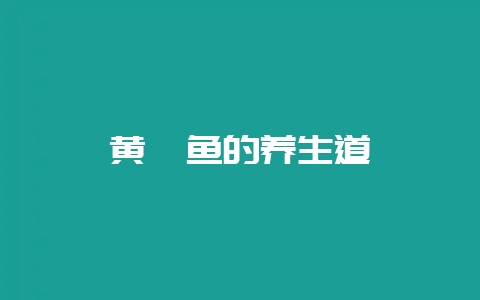 黄鳝鱼的养生道-会东网