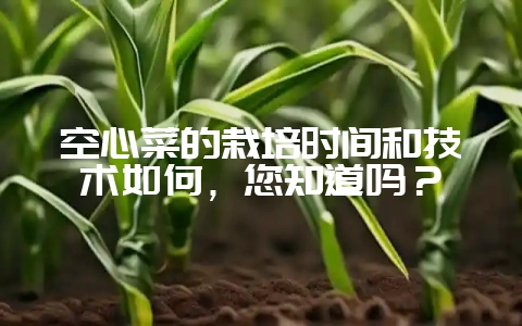 空心菜的栽培时间和技术如何，您知道吗？-会东网