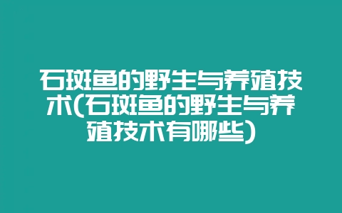 石斑鱼的野生与养殖技术(石斑鱼的野生与养殖技术有哪些)-会东网