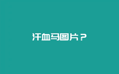 汗血马图片？-会东网