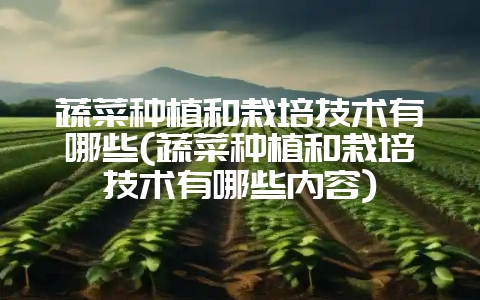 蔬菜种植和栽培技术有哪些(蔬菜种植和栽培技术有哪些内容)-会东网