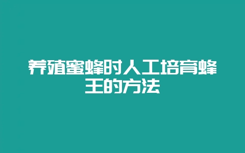 养殖蜜蜂时人工培育蜂王的方法-会东网