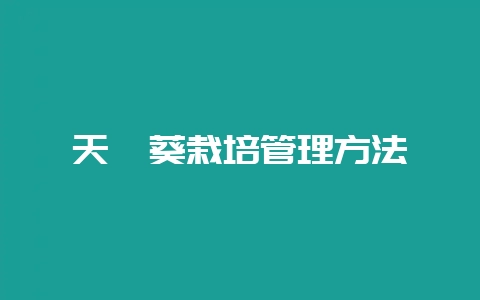 天竺葵栽培管理方法-会东网