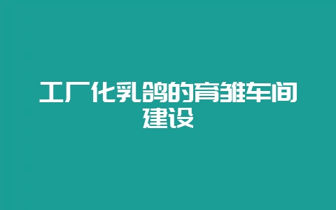 工厂化乳鸽的育雏车间建设-会东网