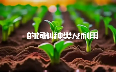 貉的饲料种类及利用-会东网
