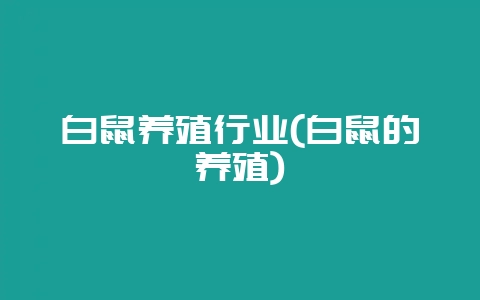 白鼠养殖行业(白鼠的养殖)-会东网