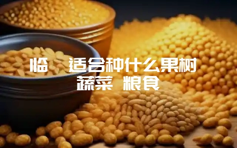 临沂适合种什么果树 蔬菜 粮食-会东网