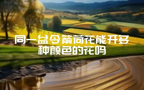 同一盆令箭荷花能开多种颜色的花吗-会东网