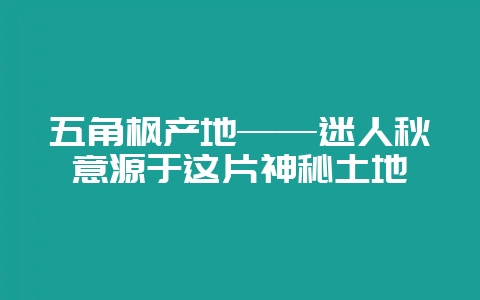 五角枫产地——迷人秋意源于这片神秘土地-会东网