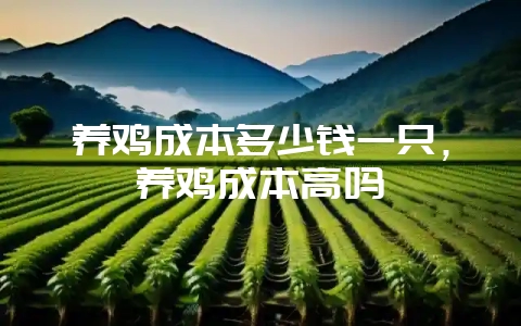养鸡成本多少钱一只,养鸡成本高吗-会东网